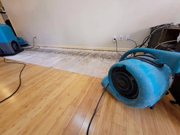 Reliable Basement Flood Cleanup contractor in Warren, OH by Hirex Water Damage