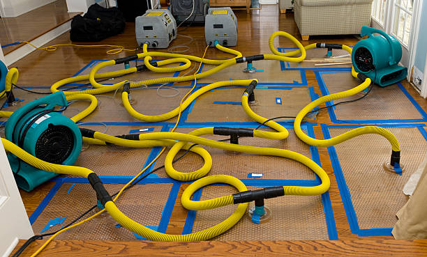 Professional Basement Flood Cleanup technician working in Warren, OH